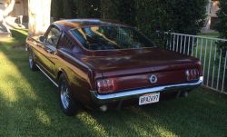 1965 Ford Mustang Fastback V8 Auto